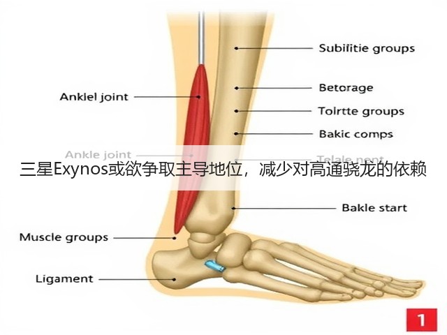 三星Exynos或欲争取主导地位,减少对高通骁龙的依赖(图2) 三星Exynos或欲争取主导地位,减少对高通骁龙的依赖(图2)